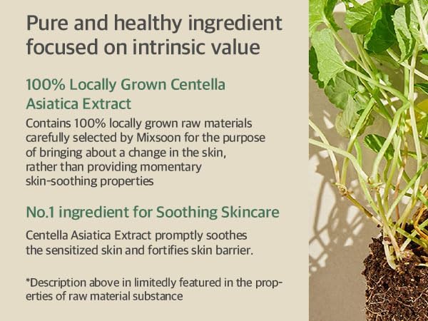 MIXSOON Soondy Centella Asiatica Essence 100 ml